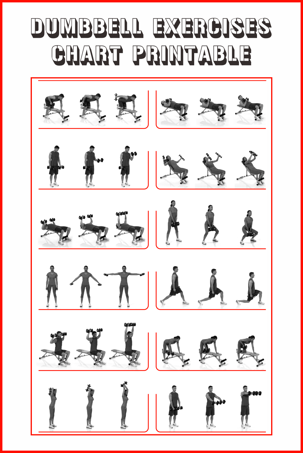 10 Best Dumbbell Exercises Chart Printable 