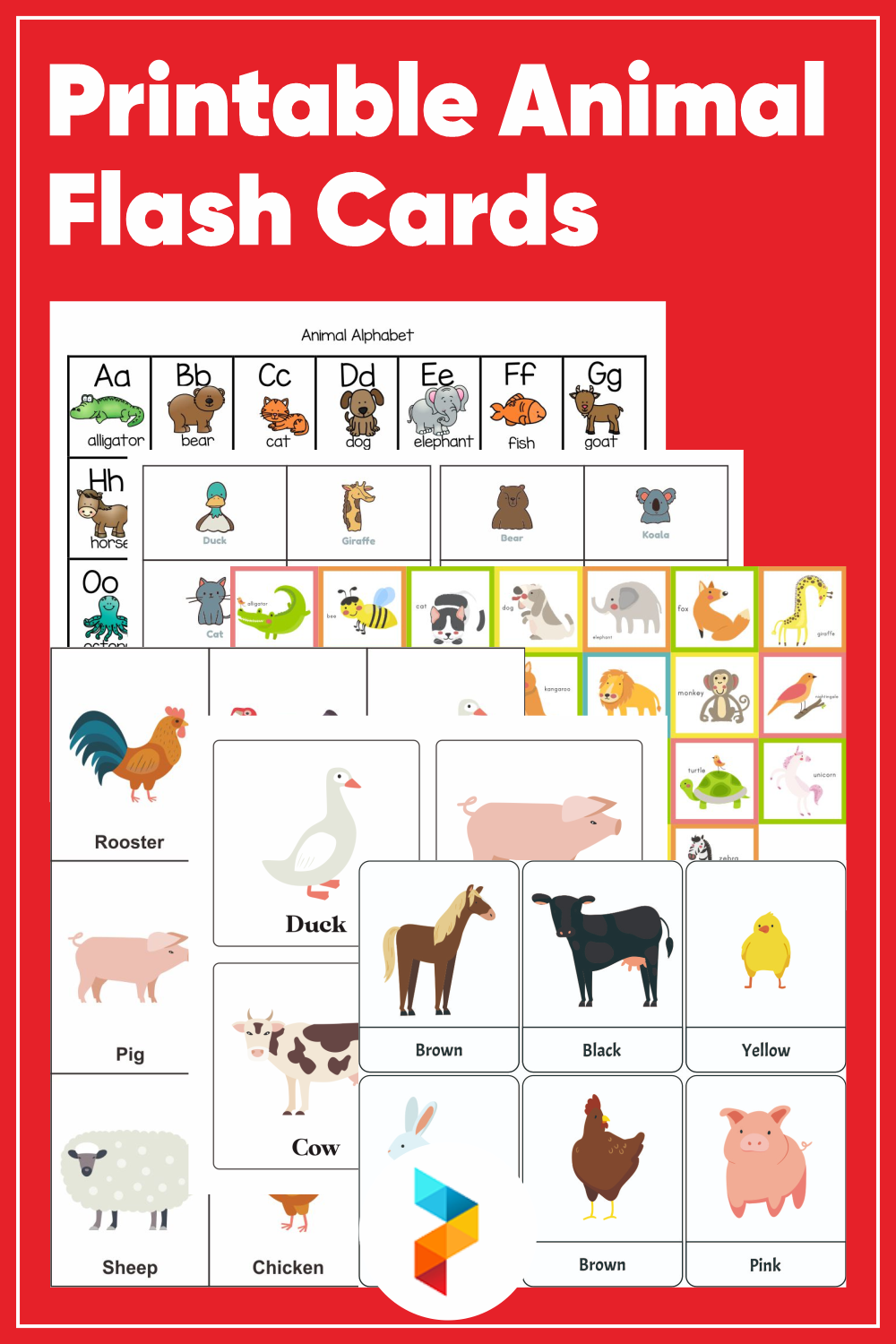 Animal Flash Cards