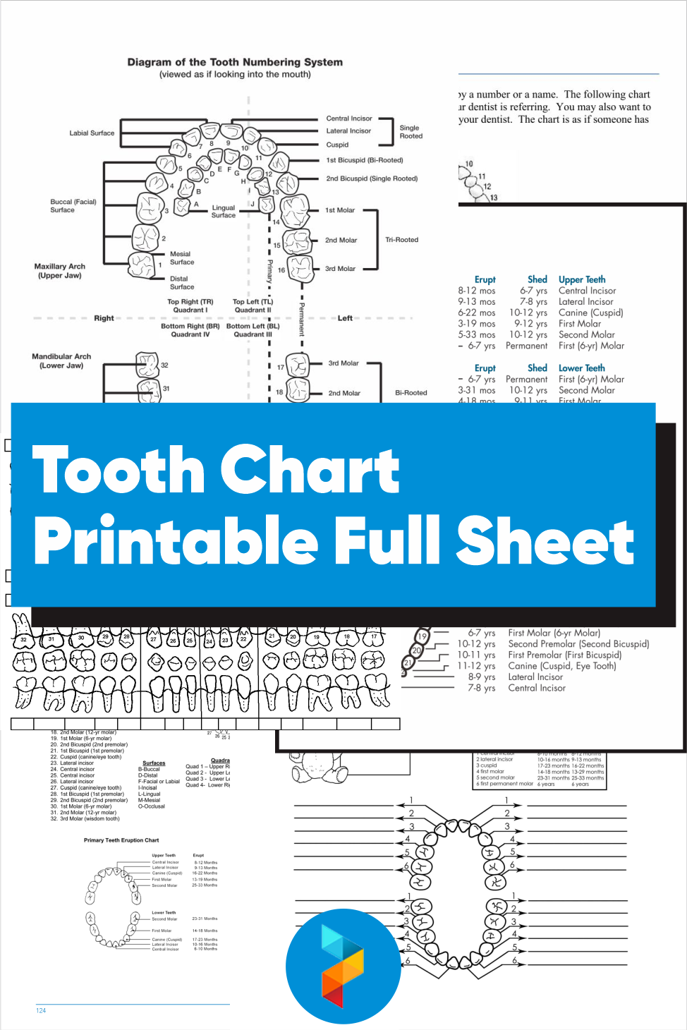 free-printable-dental-charting-forms